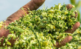 ZVEME VÁS NA VEŘEJNÝ ONLINE SEMINÁŘ SILÁŽE 2021