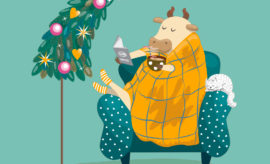 Přejeme klidné Vánoce!