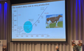 Konference od dodavatelů Zinpro a Diamond V – Wageningen (Holandsko)