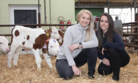 U telat vše začíná