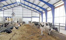 Dojit čtyřicet litrů denně  není nedosažitelný cíl