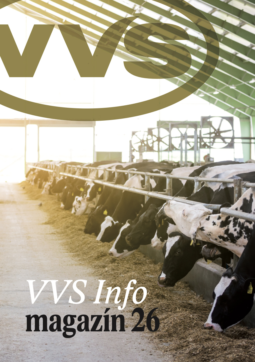 VVS Info 2025